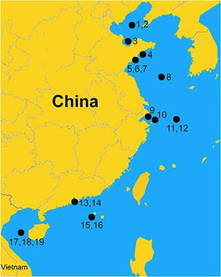 Construction and Interpretation of Particle Size Distribution Spectra From 19 Ecopath Models of Chinese Coastal Ecosystems